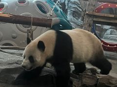 -武汉动物园