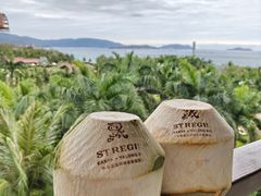 -三亚亚龙湾瑞吉度假酒店