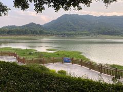 -风云岭森林公园