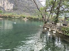 -靖西鹅泉风景区