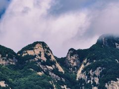 -王顺山国家森林公园
