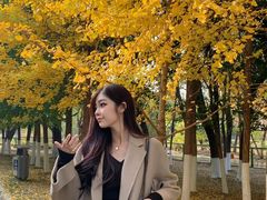 -长白岛森林公园