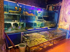 -辉记炭烧海鲜大排档·老字号(福田店)