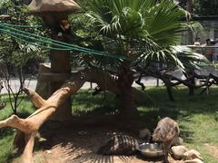 -灵玲国际马戏城