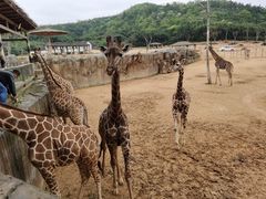 -杭州野生动物世界