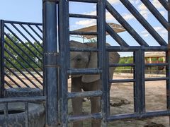 -鄂尔多斯野生动物园