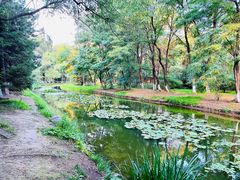 -长白岛森林公园