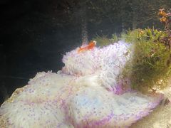 -嘉兴海底世界