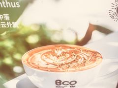 -Bco豆库(苏州中心店)