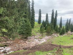 -新疆那拉提国家旅游度假区