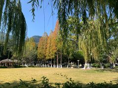 -西昌邛海宾馆
