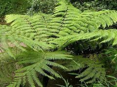 -济南方特东方神画