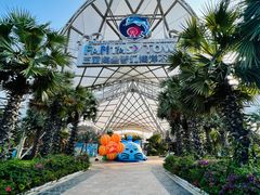 -三亚海昌梦幻海洋不夜城