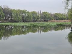 -洋湖国家湿地公园