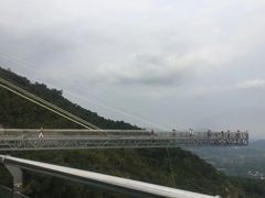 -呀诺达热带雨林