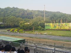 -深圳野生动物园