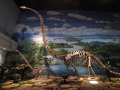 -自贡恐龙博物馆