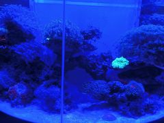 -上和臻品中国菜(花园街店)