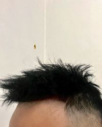 点击看大图 -COSMO PRO造型
