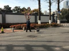 -静海楼(学田店)