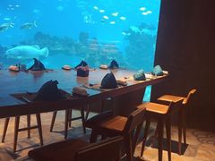 -海棠湾洲际-涛·海底餐厅·美人鱼·自助餐·海底隧道