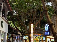 -海南分界洲岛旅游区