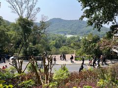 -深圳仙湖植物园