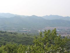 -原山国家森林公园