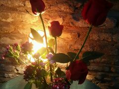 -杨桃院子旅馆(厦门鼓浪屿中华红墨店)