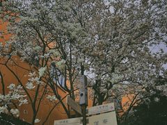-龙华寺