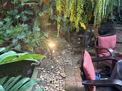 -Fern Forest Cafe