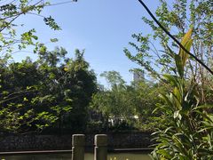 -晓港公园