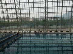 -深圳大学城（南区）体育中心-游泳馆