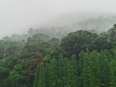 -广州市石门国家森林公园