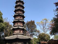 -上海佘山国家森林公园西佘山园