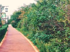 -西安汉城湖景区