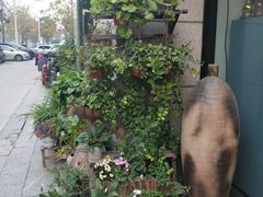 -伊斯坦布尔土耳其清真咖啡餐厅