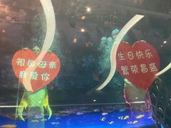 -瑞德姆美人鱼海底演艺主题餐厅(亚龙湾店)