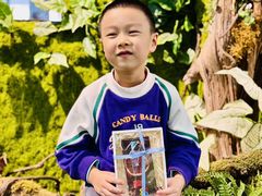 -蕃茄田艺术•美术绘画 •硬笔书法(滨江海威领界店)