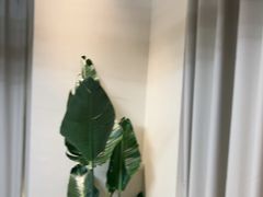 -杨氏青龙虾·羊蝎子(珠江路店)