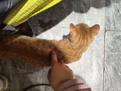 -眷江南之小蓝鲸(王府大街店)