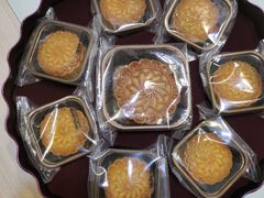 -广州白天鹅宾馆