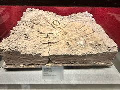 -南越王博物院(王宫展区)