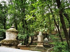 -北京上方山国家森林公园