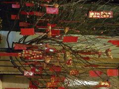 门口的桃花树！新年有好运哦！-上海金桥红枫万豪酒店-万豪中餐厅