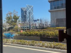 -南汇新城城市公园