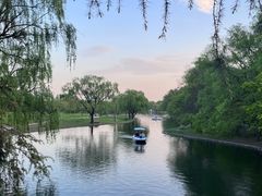 -上海共青森林公园