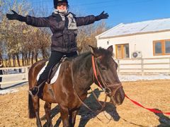 -北京群众马术培训基地