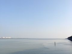 -大湾区中央湿地公园