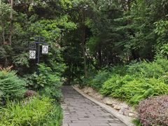 -成都市活水公园
